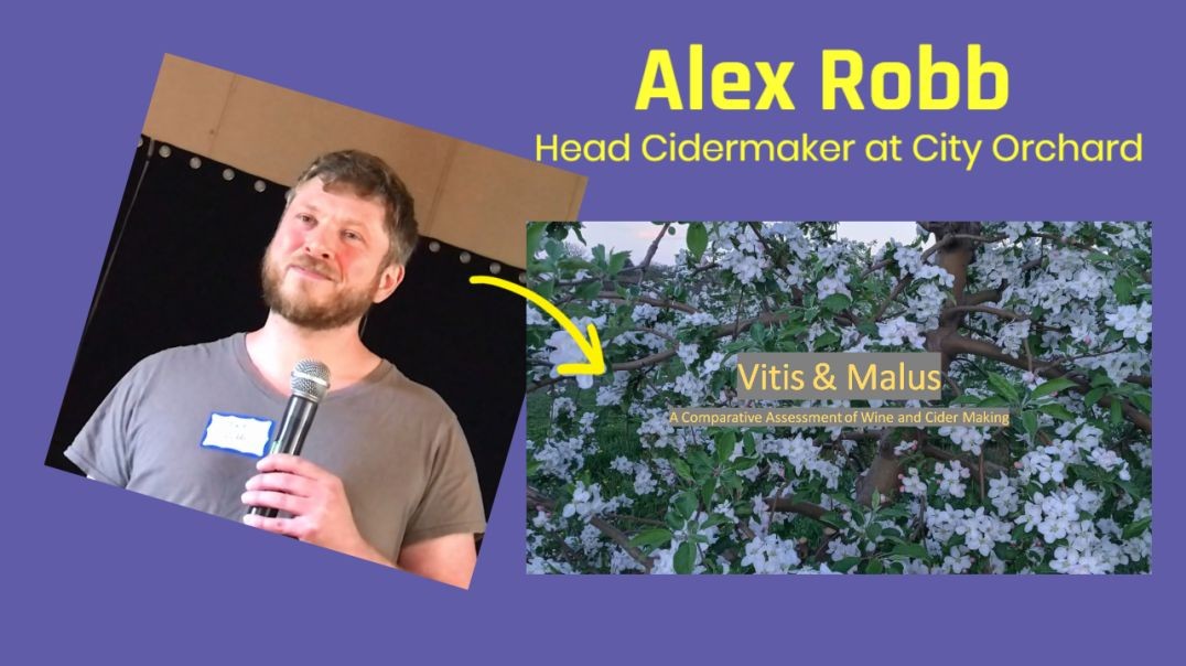 Alex Robb
